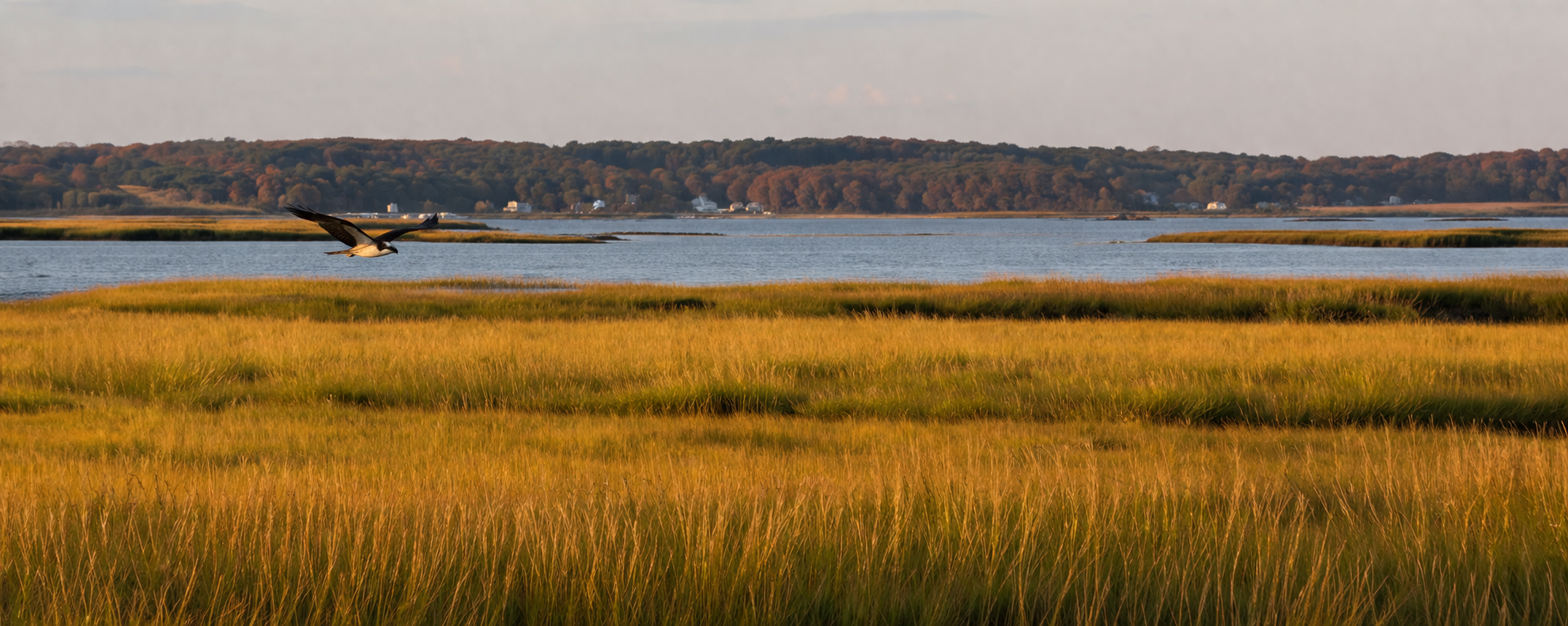 image osprey section break image osprey section break